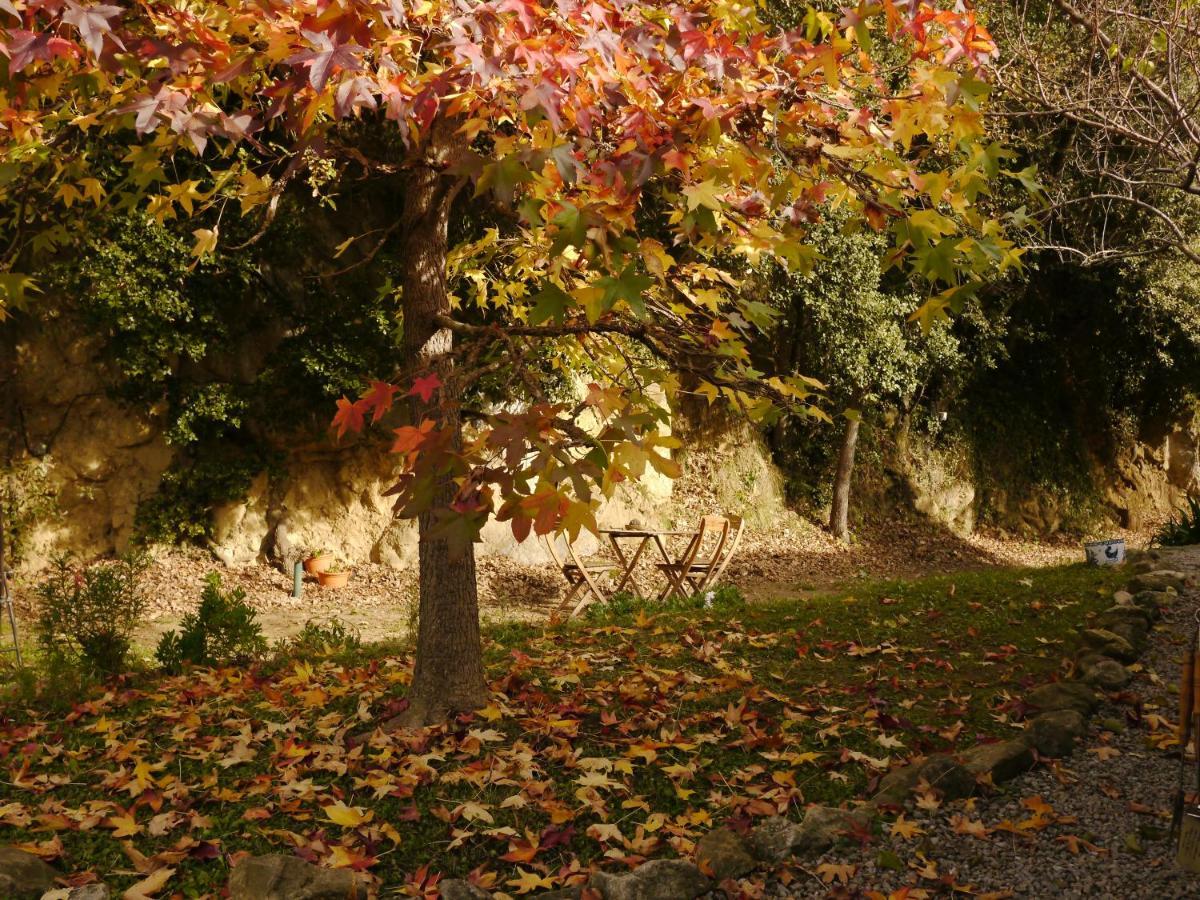 Apartmán Mas Franch San Miguel de la Pineda Exteriér fotografie